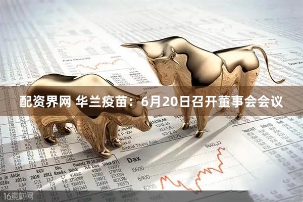 配资界网 华兰疫苗：6月20日召开董事会会议