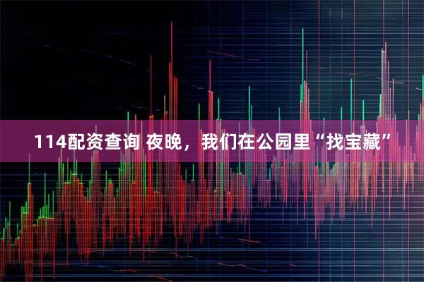 114配资查询 夜晚，我们在公园里“找宝藏”